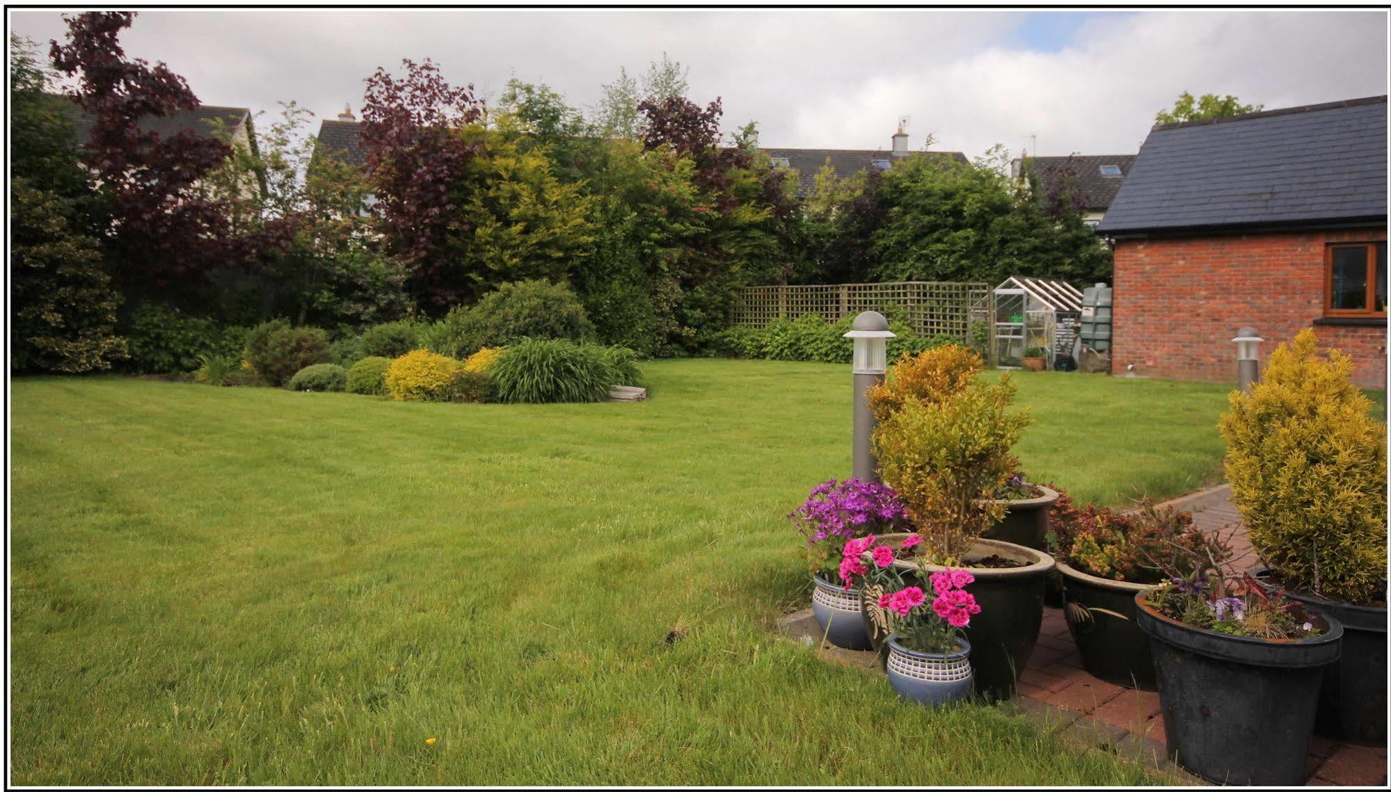 Oranhill Lodge Guesthouse Oranmore Eksteriør billede